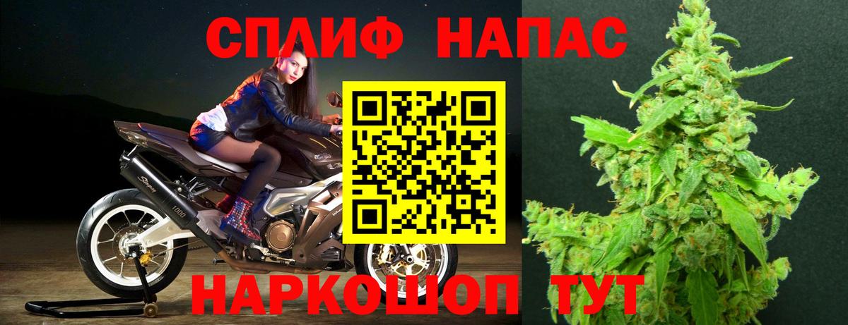 Донецк  Марихуана гибрид  Канабис план  Вход с VPN  Бошки Шишки OG Kush  Бошки марихуана семена 